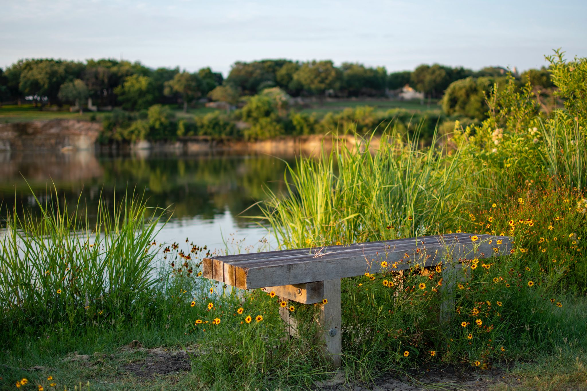 Pay a visit to Spring Lake Park!